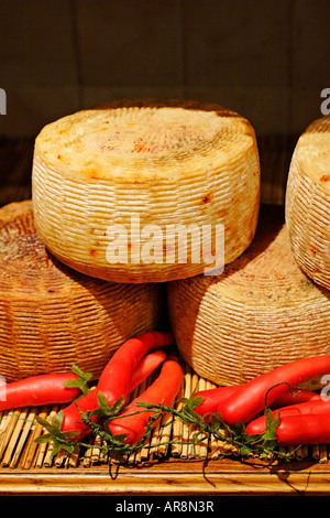 Italienischen Pecorino Romano Käse, Italien Stockfoto