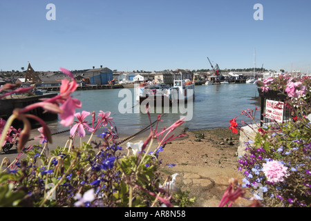 Kette der Fähre Mitte des Stromes von Cowes Ostseite mit Blumen Stockfoto