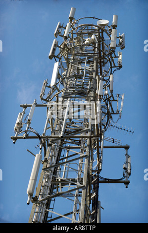 Ein Handy-Mast im Wald in Glossops grün Crawley West Sussex Stockfoto