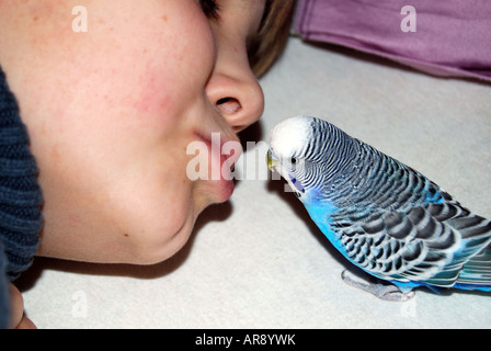 Junge in einem Spiel mit seinem Papagei. Stockfoto