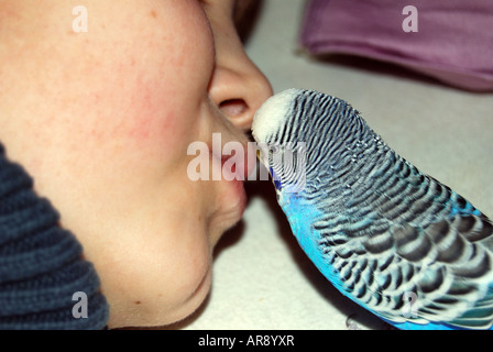 Junge in einem Spiel mit seinem Papagei. Stockfoto