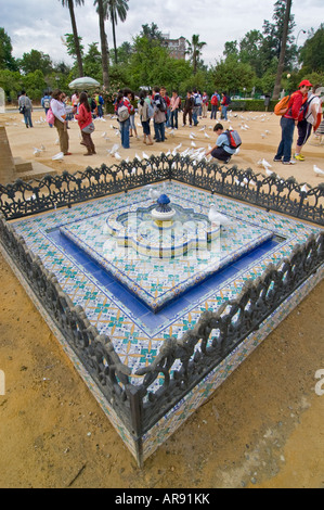 Weiße Tauben sitzen auf Brunnen, Plaza de America, Maria Luisa, Andalusien, Spanien Stockfoto