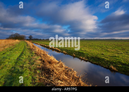 Ein Blick auf Upton Marshes Blickrichtung Thurne in den Norfolk broads Stockfoto