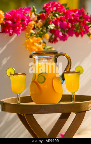 Mexiko Jalisco Puerto Vallarta Detail von einem Krug und Gläser frisch gepressten Orangensaft mit Blumen im Hintergrund Stockfoto