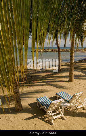 Mexiko Riviera Nayarit La Cruz de Huanacaxtle Oceanside Strandkörbe Palmen mit Blick auf die Bucht von Banderas in der Nähe von Puerto Vallarta Stockfoto
