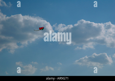 Drachen in den Himmel Stockfoto