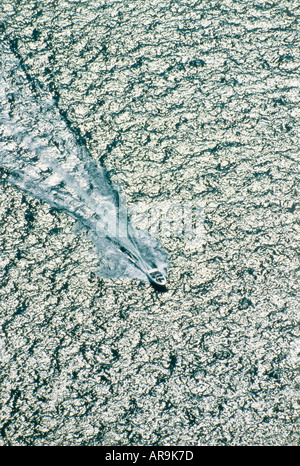 Luftaufnahme des Speed-Boot auf Wasser Meer See mit Gefolge Welle fanning hinter high-Speed-Luftbild von oben Stockfoto