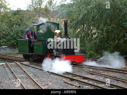 Die Dame Augusta Miniatur Dampfmaschine an der Heatherslaw Mühle Feldbahn Northumberland England Vereinigtes Königreich Großbritannien Stockfoto