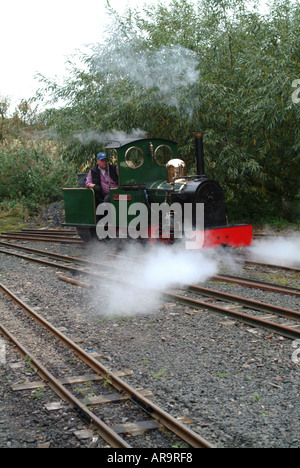 Die Dame Augusta Miniatur Dampfmaschine an der Heatherslaw Mühle Feldbahn Northumberland England Vereinigtes Königreich Großbritannien Stockfoto