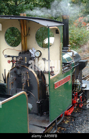 Die Dame Augusta Miniatur Dampfmaschine an der Heatherslaw Mühle Feldbahn Northumberland England Vereinigtes Königreich Großbritannien Stockfoto