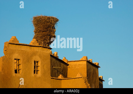 Großen Storchennest auf dem Dach ein marokkanisches Haus Stockfoto