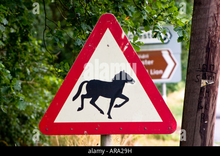 Vorsicht, die wilden Pferde Straßenschild Stockfoto