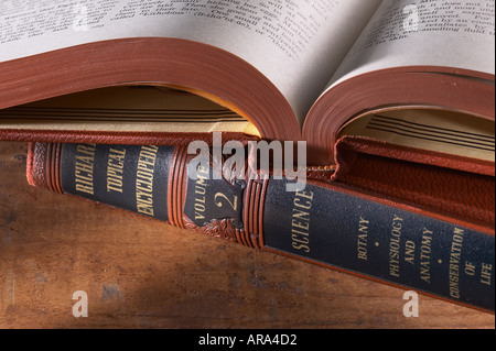 Alte Bücher-Detail Stockfoto