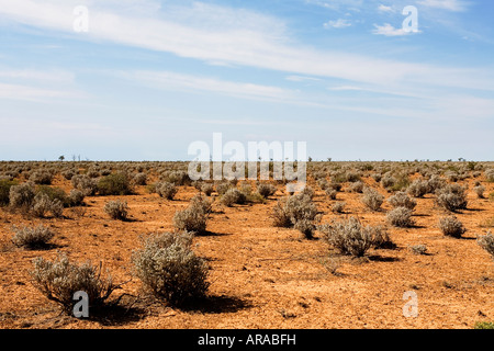 Die Nullarbor Plain-Australien Stockfoto