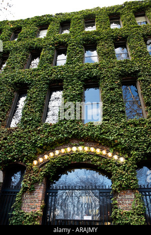 Reben bedeckt Grand Central Arcade Gebäude im historischen Viertel der Innenstadt von Seattle, Washington Stockfoto