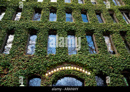 Efeu bedeckt Grand Central Arcade Gebäude im historischen Viertel der Innenstadt von Seattle, Washington Stockfoto