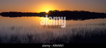 Sonnenaufgang über Mangroven Insel auf neun Meile Teich Everglades Nationalpark Florida Stockfoto