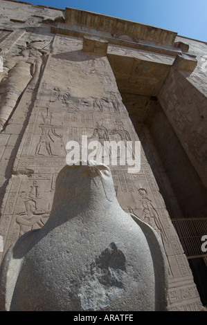 Statue des Horus, Tempel des Horus von Edfu, Ägypten Stockfoto