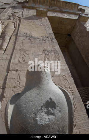 Statue des Horus, Tempel des Horus von Edfu, Ägypten Stockfoto