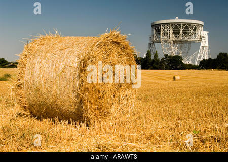 Der Riese Mk1A Jodrell Bank Radioteleskop und Runde geernteten Heuballen, in der Nähe von Holmes Chapel, Cheshire, England, UK Stockfoto