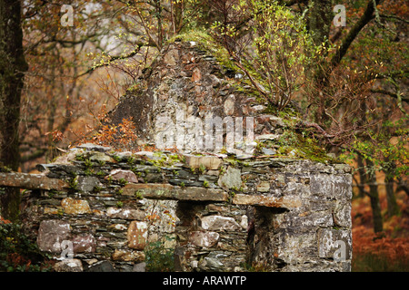 Alte verlassene Stein Haus in Connemara County Galway Republik Irland Europa Stockfoto