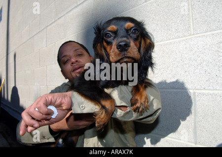 Arbeiter in NYC Animal Care und Kontrolle mit einem geretteten streunenden Hund Stockfoto