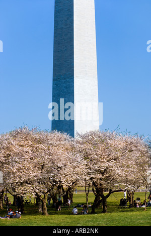 Menschen unter den blühenden Kirschbäume Bäumen an der Basis der The Washington Monument picknicken. Vorfrühling in Washington DC, USA. Stockfoto