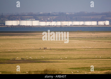 Blick über den North Kent Sümpfen, Öl und chemischen Raffination und Lagerung bei Thames Haven Essex UK winter Stockfoto