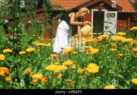 Frau, Bewässerung Blumen in schönen Garten auf Master Pers Grand in Stockholm Stockfoto