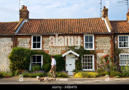 Mann geht seinen Hunden vorbei an typischen Backstein und Feuerstein Norfolk Haus in der Nähe des Burnham Market UK Stockfoto