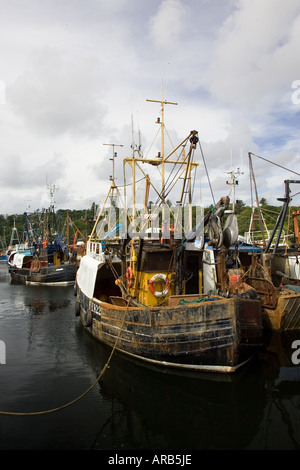 Trawler Fischerboote in Stornoway äußeren Hebriden Vereinigtes Königreich Stockfoto