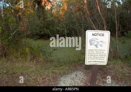 Melden Sie sich an den Fakahatchee Strand State Park Warnung Besucher über die Gefahren von anzuziehen oder amerikanischen Alligatoren zu belästigen Stockfoto