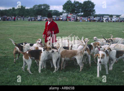 Süden würden Hunde mit Master of Hounds an Land in Lincolnshire zeigen Stockfoto