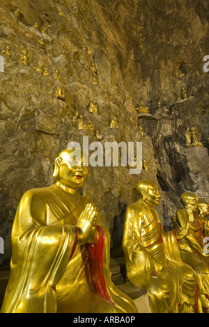 Goldenen Buddha-Statuen säumen Steinmauern der Tempel Höhle, Yangdang Berge, Wenzhou, Zhejiang Provinz, China Stockfoto