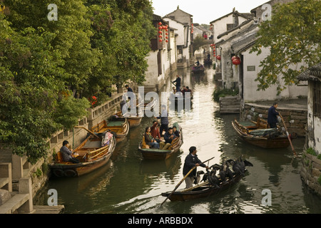 Ruderboot mit Fischen Kormorane und Touristen am historischen Kanal, Zhouzhuang, Provinz Jiangsu, China Stockfoto