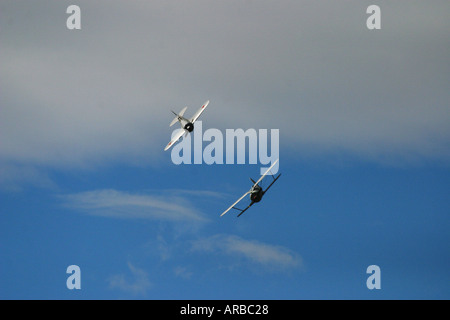 Polikarpow ich 153 Doppeldecker und Ploikarpov 1 16 Eindecker WWII russische Kampfflugzeuge Stockfoto