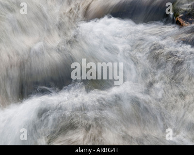 Creekwater hautnah Stockfoto