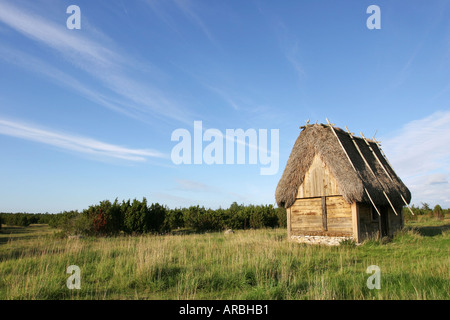 Holzhaus mit einem traditionellen Dach aus Schilf auf der Insel Gotland in Schweden Stockfoto