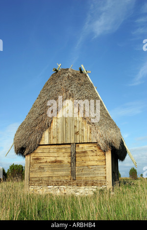 Holzhaus mit einem traditionellen Dach aus Schilf auf der Insel Gotland in Schweden Stockfoto