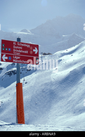 Melden Sie auf der Piste im Skigebiet von Wengen Schweiz Stockfoto