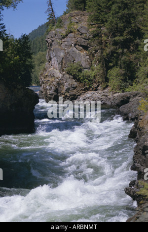 Adams River, British Columbia (BC), Kanada, Nordamerika Stockfoto