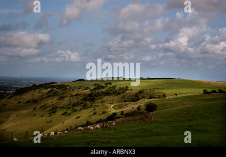 Ein Blick auf den South Downs aus Ditchling Beacon nördlich von Brighton in Sussex- Stockfoto