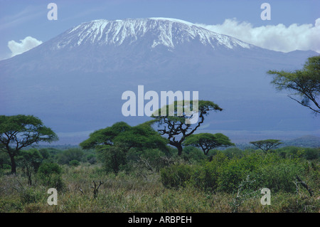 Mt. Kilimanjaro, Kenia, Afrika Stockfoto