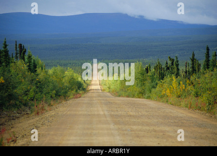 Taylor Highway, öffnet Schotterstraße durch Kiefernwald nur Sommer drei Monate in 40 Meile Goldfields Bereich, E. Alaska, USA Stockfoto