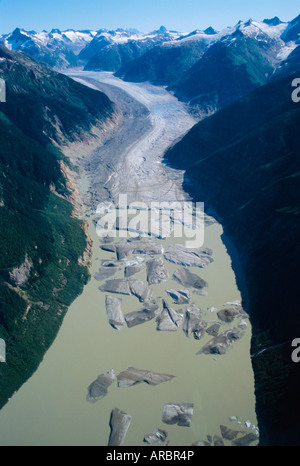 Gletscher fließen von Juneau Icefield Alean See, Alaska, USA Stockfoto