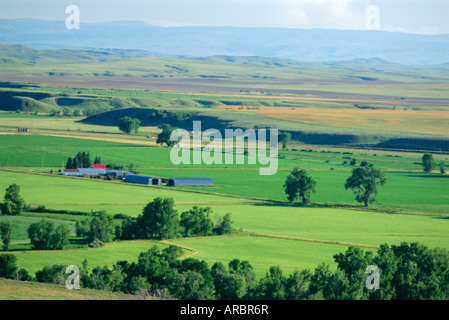 Große Wiesen Tal des Little Bighorn River in der Nähe von Billings, Montana, USA Stockfoto