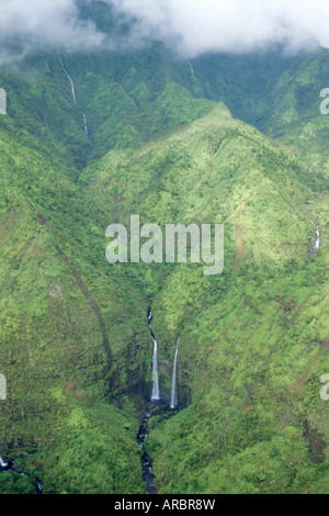 Der nasseste Ort auf der Erde, Mt. Waialeale, Kauai, Hawaii, USA Stockfoto