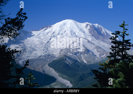 Mount Rainier, Vulkangipfel und Emmons Gletscher vom Gipfel Icefield, Cascade Mountains, US-Bundesstaat Washington, Vereinigte Staaten (USA) Stockfoto