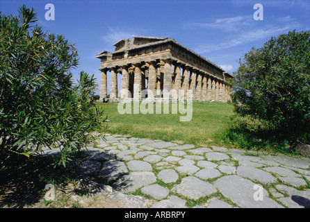 Tempel des Poseidon, Paestum, Kampanien, Italien Stockfoto