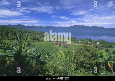 Reisterrassen auf östlichen Ufer des Crater Lake, Lake Maninjau, West-Sumatra, Sumatra, Indonesien, Südostasien, Asien Stockfoto